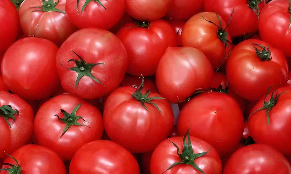 Il ruolo del registratore di dati di temperatura nel trasporto dei pomodori