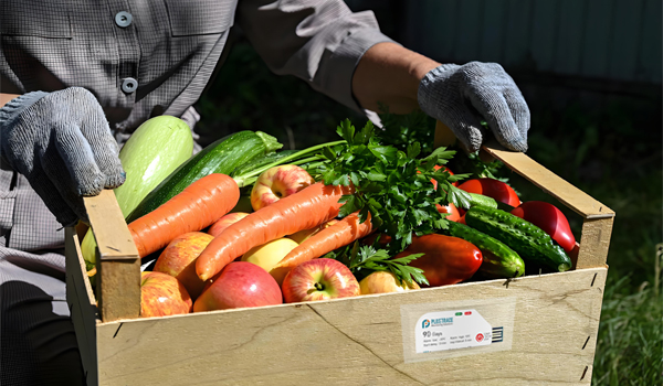 L'importanza dei registratori di dati di temperatura nella logistica della catena del freddo