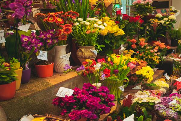 L'aiuto del registratore portatile per la temperatura e l'umidità per il trasporto di fiori
