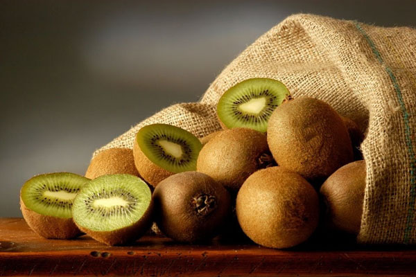 Mantieni il kiwifruit fresco attrezzature importanti - registratore a temperatura della catena a freddo