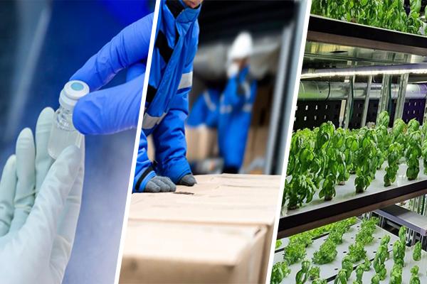 L'ambito dell'applicazione del logger dati di temperatura