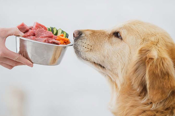 Il registratore di temperatura della catena del freddo alimentare può prevenire la perdita di nutrizione