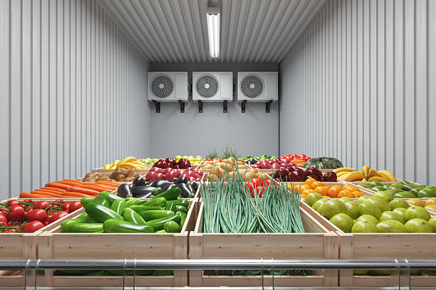 L'importanza dei registratori della temperatura di trasporto per il trasporto alimentare